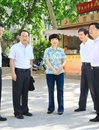 淮北市委书记肖超英一行来beat365官网调研环山东路建设